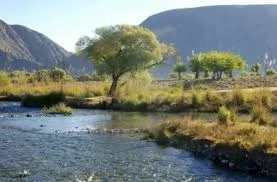Badhyz Nature Reserve — A Unique Natural Complex of Turkmenistan — 2