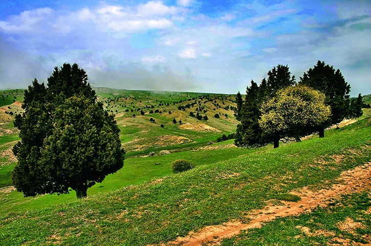 Yangykala and Darvaza: Wonders of Turkmen Land — 6