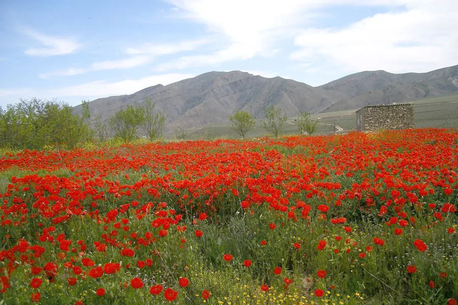 Yangykala and Darvaza: Wonders of Turkmen Land — 8