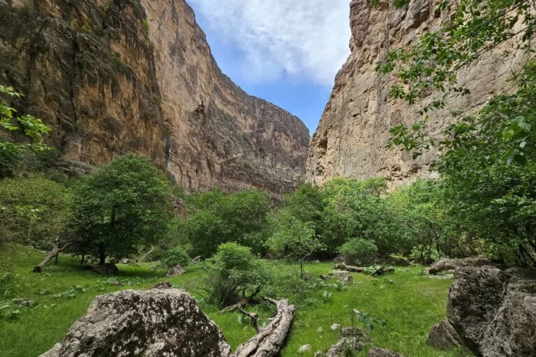 Tour to Koytendag: Dinosaur Plateau and the Eastern Region of Turkmenistan — 3