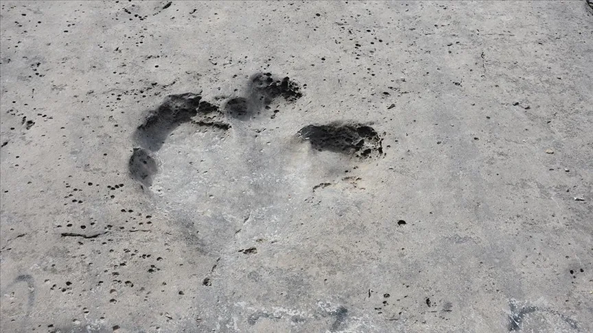 Tour to Koytendag: Dinosaur Plateau and the Eastern Region of Turkmenistan — 4