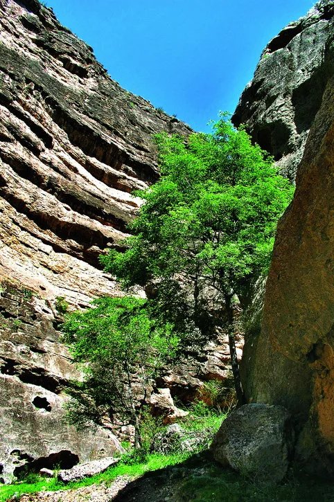 Tour to Koytendag: Dinosaur Plateau and the Eastern Region of Turkmenistan — 7