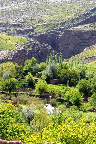 Tour to Koytendag: Dinosaur Plateau and the Eastern Region of Turkmenistan — 8