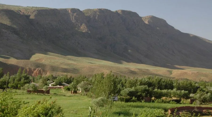 Tour to Koytendag: Dinosaur Plateau and the Eastern Region of Turkmenistan — 9