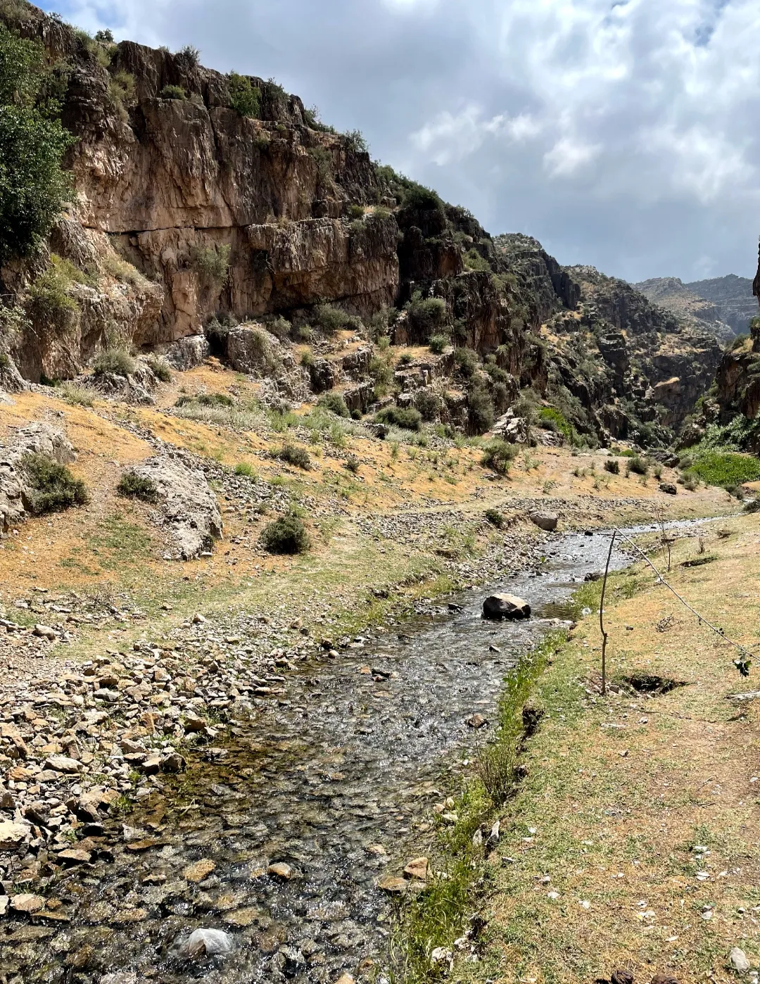 Tour to Koytendag: Dinosaur Plateau and the Eastern Region of Turkmenistan — 11